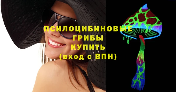 гидра Верея