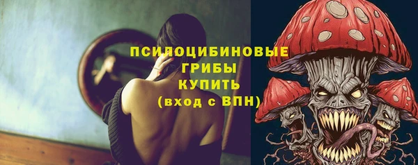 стафф Бронницы